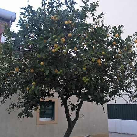 Bed and Breakfast Casa Do Limoeiro Quinta do Conde Exterior foto